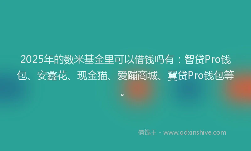 2025年的数米基金里可以借钱吗有：智贷Pro钱包、安鑫花、现金猫、爱蹦商城、翼贷Pro钱包等。