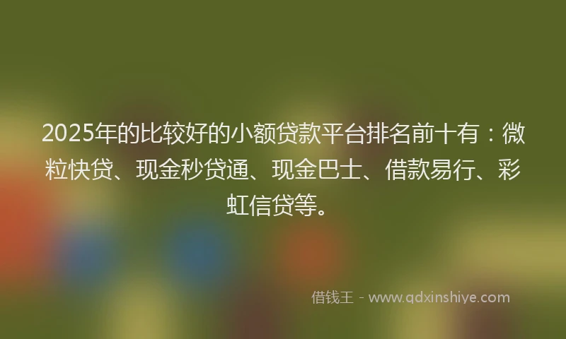 2025年的比较好的小额贷款平台排名前十有：微粒快贷、现金秒贷通、现金巴士、借款易行、彩虹信贷等。