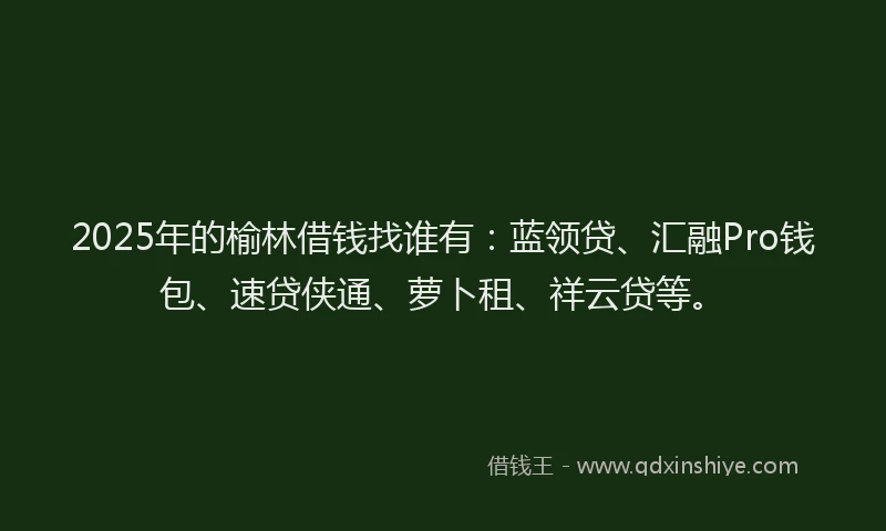 2025年的榆林借钱找谁有：蓝领贷、汇融Pro钱包、速贷侠通、萝卜租、祥云贷等。