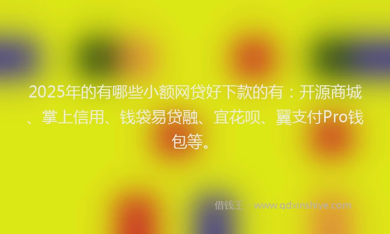 2025年的有哪些小额网贷好下款的有：开源商城、掌上信用、钱袋易贷融、宜花呗、翼支付Pro钱包等。