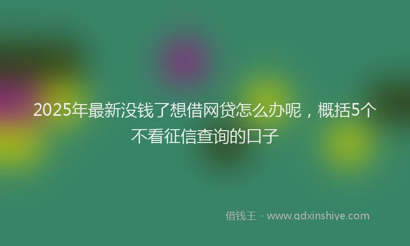 2025年最新没钱了想借网贷怎么办呢，概括5个不看征信查询的口子