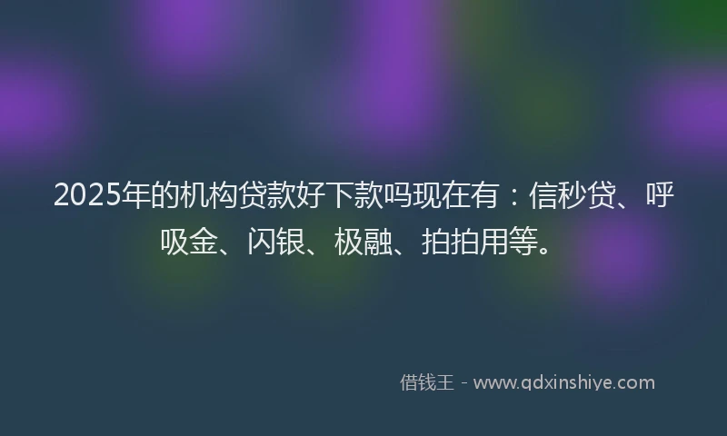 2025年的机构贷款好下款吗现在有：信秒贷、呼吸金、闪银、极融、拍拍用等。