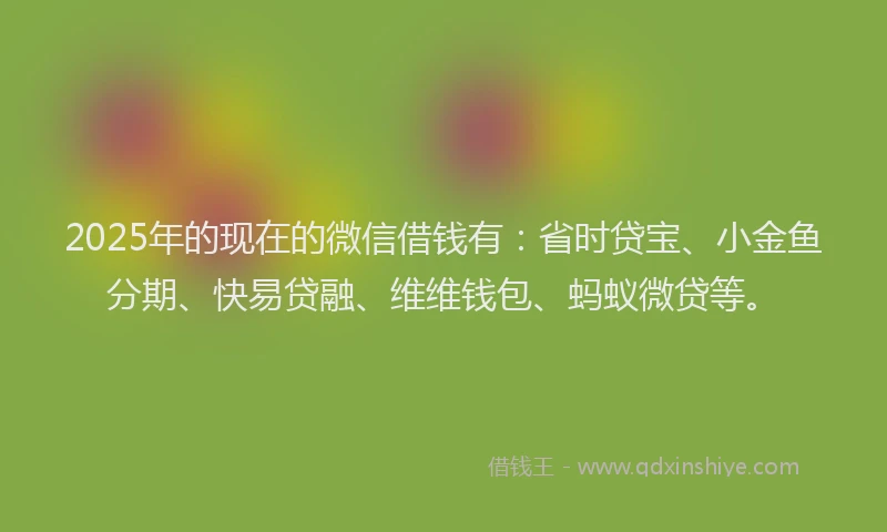 2025年的现在的微信借钱有：省时贷宝、小金鱼分期、快易贷融、维维钱包、蚂蚁微贷等。