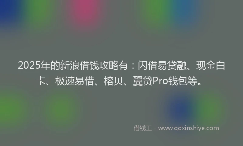 2025年的新浪借钱攻略有：闪借易贷融、现金白卡、极速易借、榕贝、翼贷Pro钱包等。