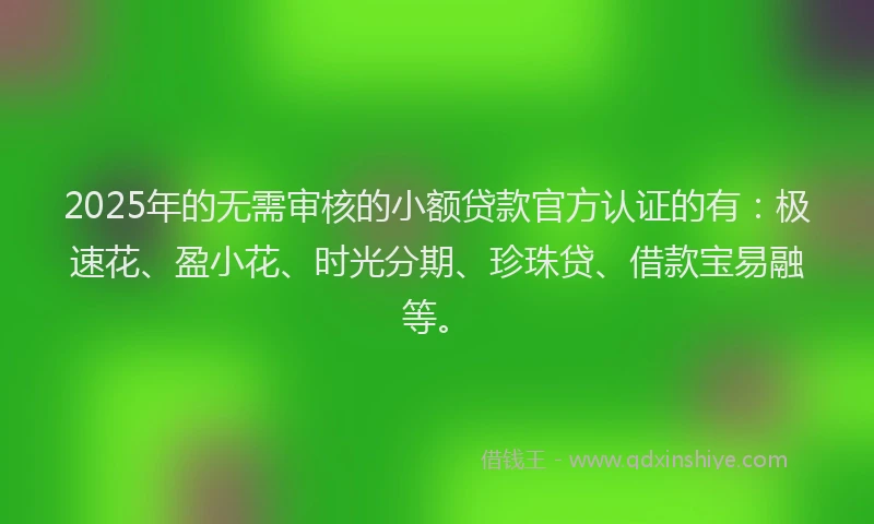 2025年的无需审核的小额贷款官方认证的有：极速花、盈小花、时光分期、珍珠贷、借款宝易融等。