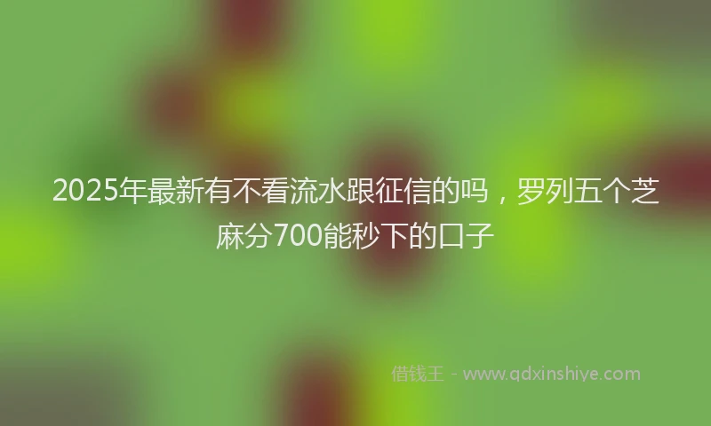 2025年最新有不看流水跟征信的吗，罗列五个芝麻分700能秒下的口子