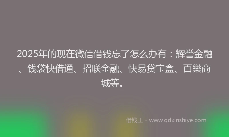 2025年的现在微信借钱忘了怎么办有：辉誉金融、钱袋快借通、招联金融、快易贷宝盒、百樂商城等。