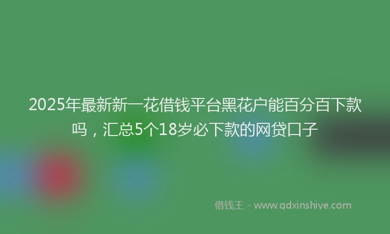 2025年最新新一花借钱平台黑花户能百分百下款吗，汇总5个18岁必下款的网贷口子