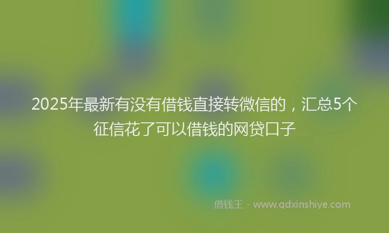 2025年最新有没有借钱直接转微信的，汇总5个征信花了可以借钱的网贷口子