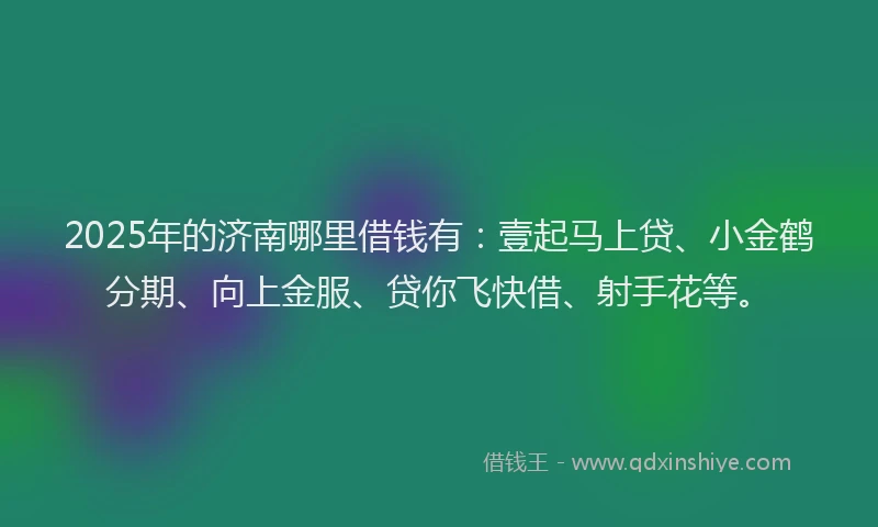 2025年的济南哪里借钱有：壹起马上贷、小金鹤分期、向上金服、贷你飞快借、射手花等。