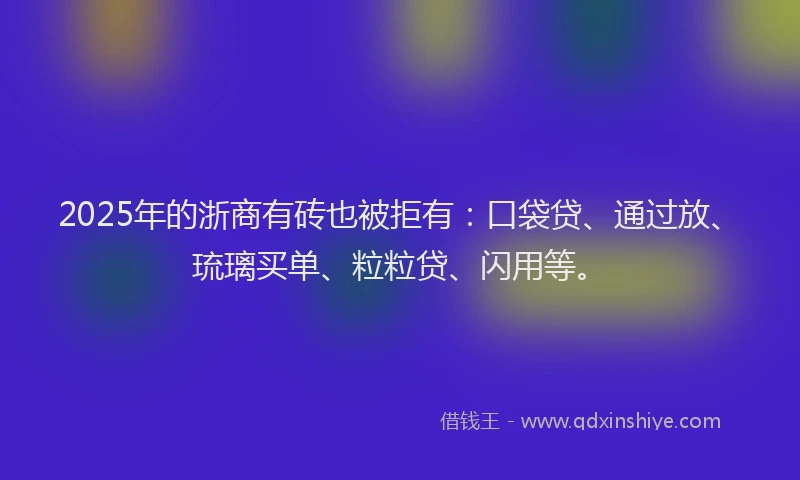 2025年的浙商有砖也被拒有：口袋贷、通过放、琉璃买单、粒粒贷、闪用等。