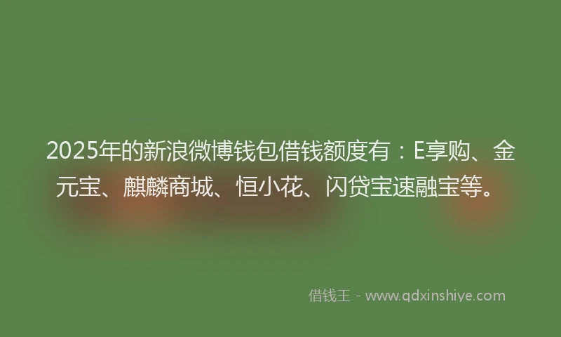 2025年的新浪微博钱包借钱额度有：E享购、金元宝、麒麟商城、恒小花、闪贷宝速融宝等。