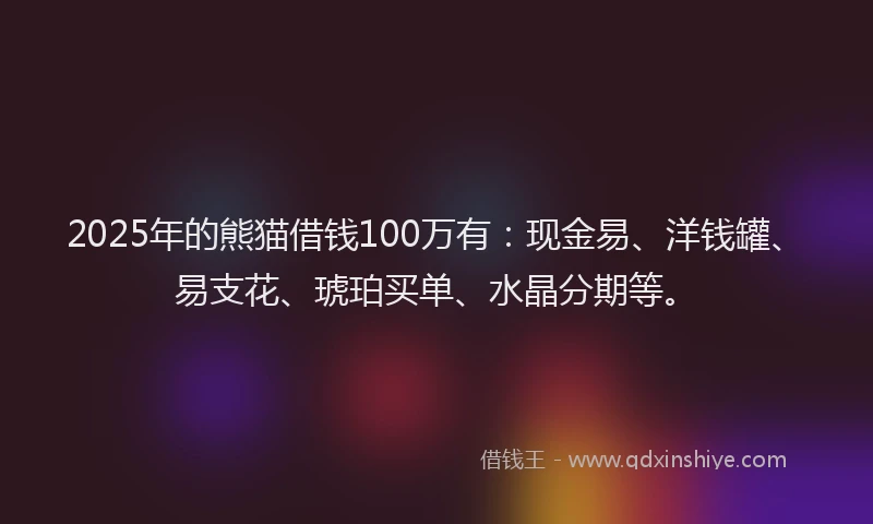 2025年的熊猫借钱100万有：现金易、洋钱罐、易支花、琥珀买单、水晶分期等。