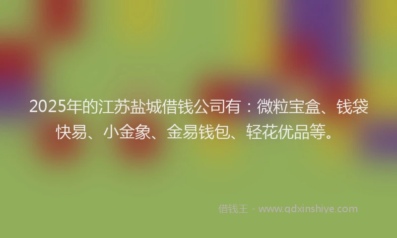 2025年的江苏盐城借钱公司有：微粒宝盒、钱袋快易、小金象、金易钱包、轻花优品等。