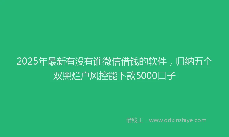 2025年最新有没有谁微信借钱的软件，归纳五个双黑烂户风控能下款5000口子