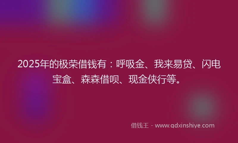 2025年的极荣借钱有：呼吸金、我来易贷、闪电宝盒、森森借呗、现金侠行等。