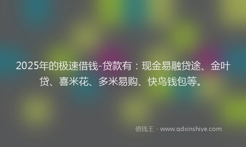 2025年的极速借钱-贷款有：现金易融贷途、金叶贷、喜米花、多米易购、快鸟钱包等。
