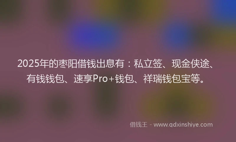 2025年的枣阳借钱出息有：私立签、现金侠途、有钱钱包、速享Pro+钱包、祥瑞钱包宝等。