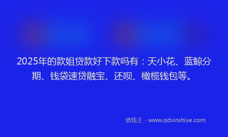 2025年的款姐贷款好下款吗有：天小花、蓝鲸分期、钱袋速贷融宝、还呗、橄榄钱包等。