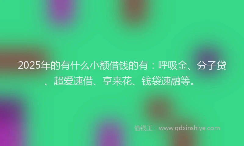 2025年的有什么小额借钱的有：呼吸金、分子贷、超爱速借、享来花、钱袋速融等。