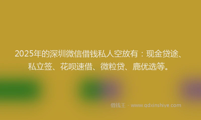 2025年的深圳微信借钱私人空放有：现金贷途、私立签、花呗速借、微粒贷、鹿优选等。