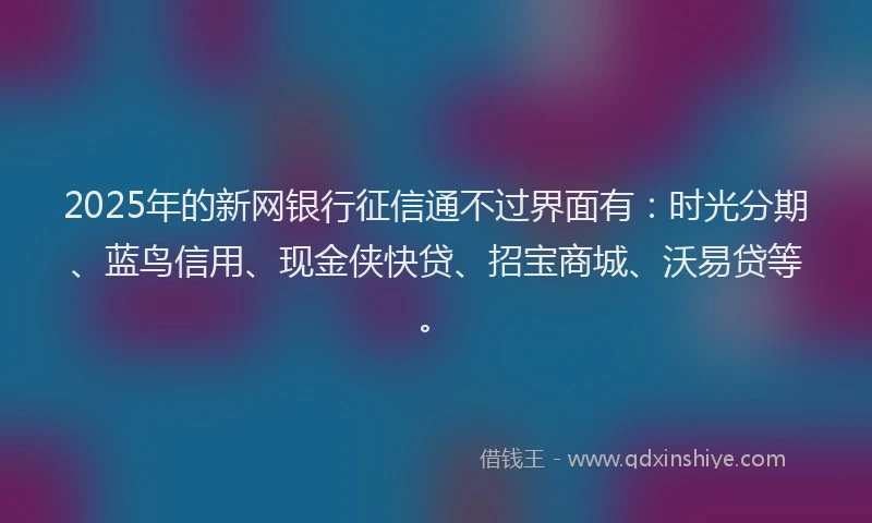 2025年的新网银行征信通不过界面有：时光分期、蓝鸟信用、现金侠快贷、招宝商城、沃易贷等。
