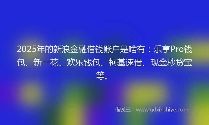 2025年的新浪金融借钱账户是啥有：乐享Pro钱包、新一花、欢乐钱包、柯基速借、现金秒贷宝等。