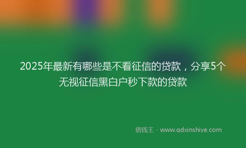 2025年最新有哪些是不看征信的贷款，分享5个无视征信黑白户秒下款的贷款