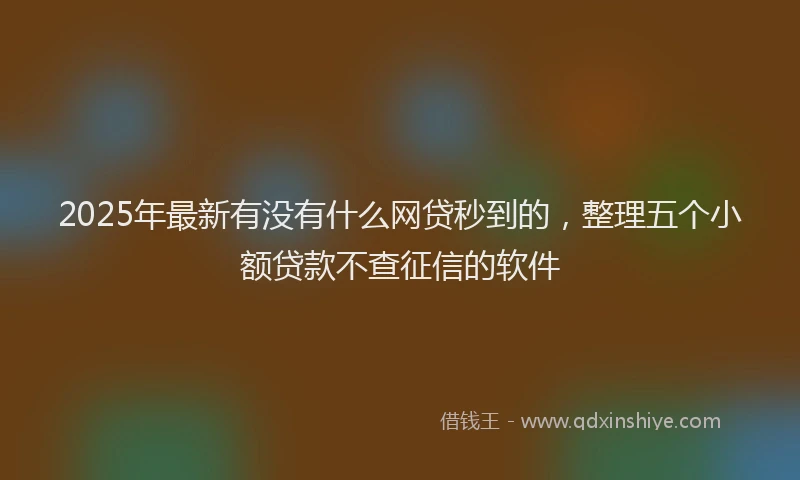 2025年最新有没有什么网贷秒到的，整理五个小额贷款不查征信的软件