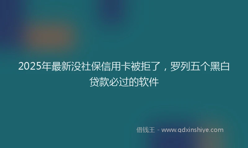 2025年最新没社保信用卡被拒了，罗列五个黑白贷款必过的软件