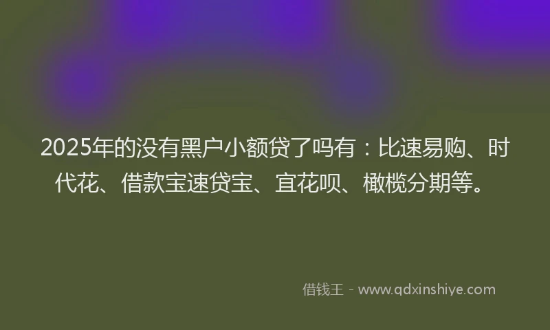 2025年的没有黑户小额贷了吗有：比速易购、时代花、借款宝速贷宝、宜花呗、橄榄分期等。