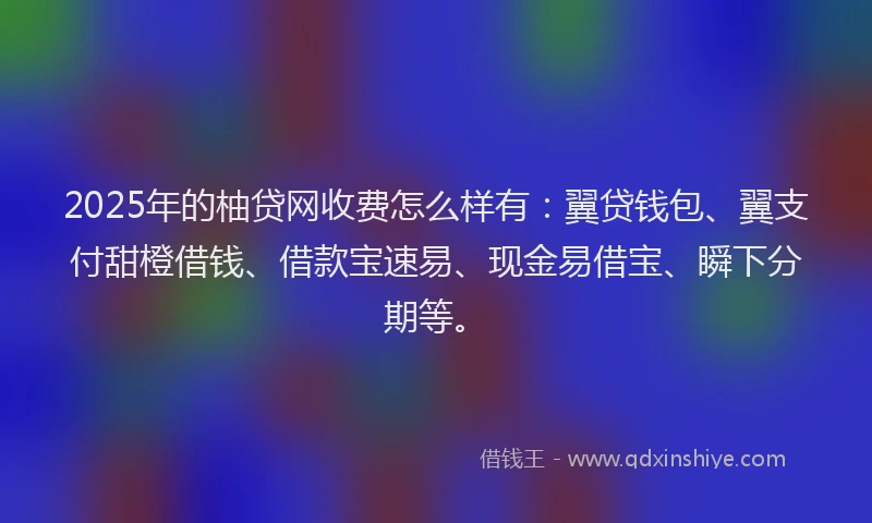 2025年的柚贷网收费怎么样有：翼贷钱包、翼支付甜橙借钱、借款宝速易、现金易借宝、瞬下分期等。