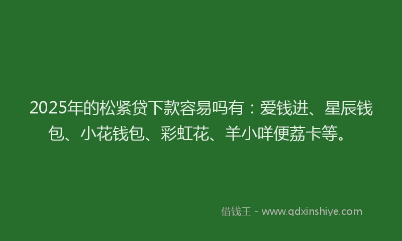 2025年的松紧贷下款容易吗有：爱钱进、星辰钱包、小花钱包、彩虹花、羊小咩便荔卡等。