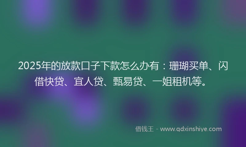 2025年的放款口子下款怎么办有：珊瑚买单、闪借快贷、宜人贷、甄易贷、一姐租机等。