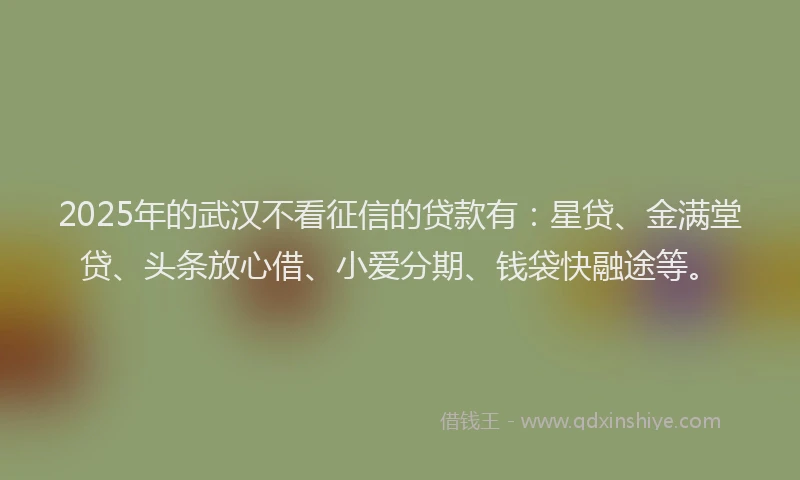 2025年的武汉不看征信的贷款有：星贷、金满堂贷、头条放心借、小爱分期、钱袋快融途等。