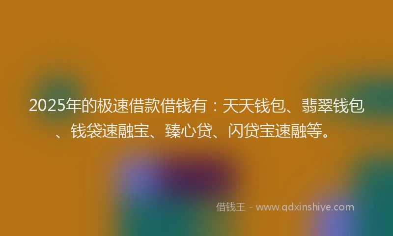 2025年的极速借款借钱有：天天钱包、翡翠钱包、钱袋速融宝、臻心贷、闪贷宝速融等。
