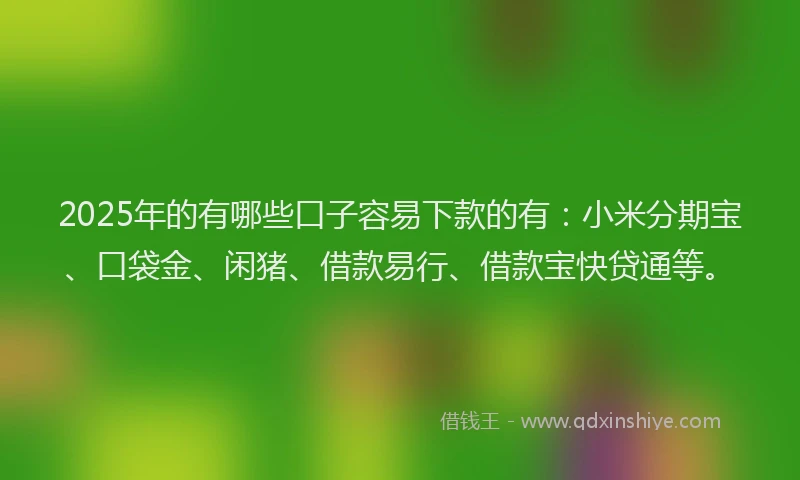 2025年的有哪些口子容易下款的有：小米分期宝、口袋金、闲猪、借款易行、借款宝快贷通等。