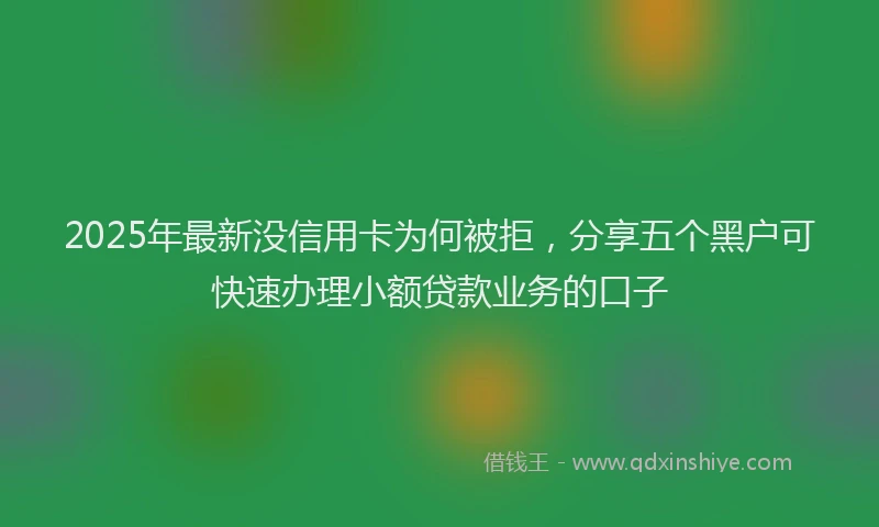 2025年最新没信用卡为何被拒，分享五个黑户可快速办理小额贷款业务的口子