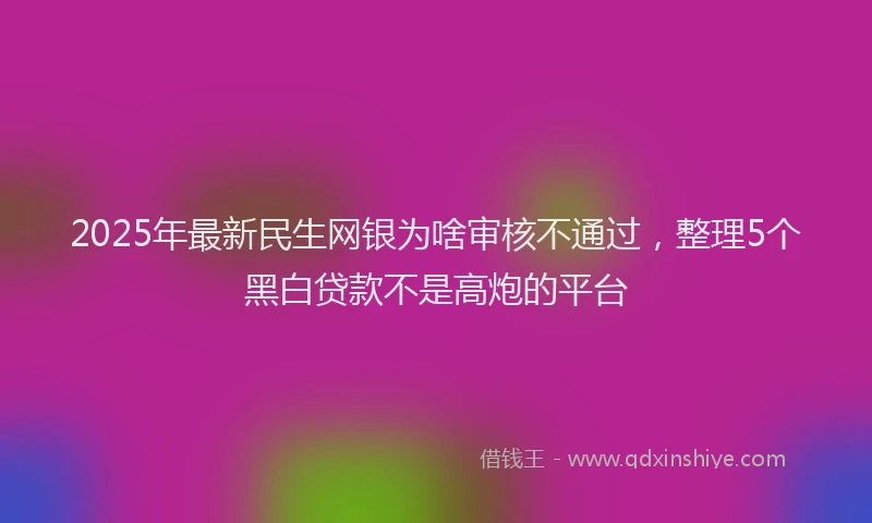 2025年最新民生网银为啥审核不通过，整理5个黑白贷款不是高炮的平台
