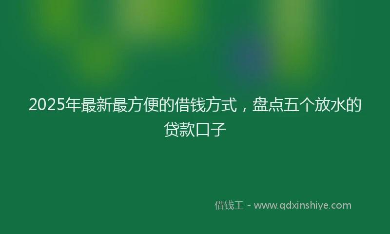 2025年最新最方便的借钱方式，盘点五个放水的贷款口子