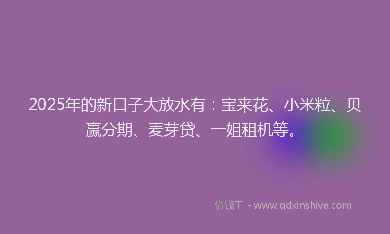2025年的新口子大放水有：宝来花、小米粒、贝赢分期、麦芽贷、一姐租机等。