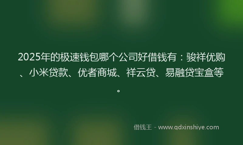 2025年的极速钱包哪个公司好借钱有：骏祥优购、小米贷款、优者商城、祥云贷、易融贷宝盒等。