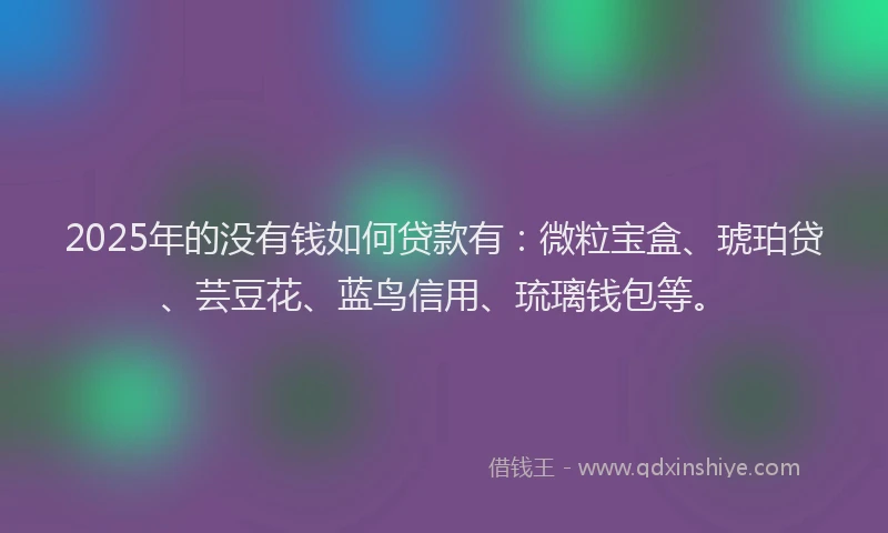 2025年的没有钱如何贷款有：微粒宝盒、琥珀贷、芸豆花、蓝鸟信用、琉璃钱包等。