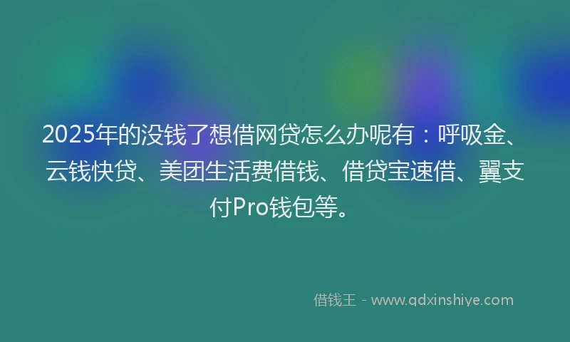 2025年的没钱了想借网贷怎么办呢有：呼吸金、云钱快贷、美团生活费借钱、借贷宝速借、翼支付Pro钱包等。