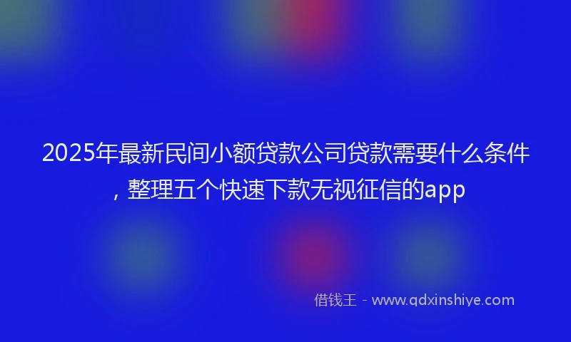 2025年最新民间小额贷款公司贷款需要什么条件，整理五个快速下款无视征信的app