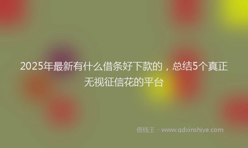 2025年最新有什么借条好下款的，总结5个真正无视征信花的平台