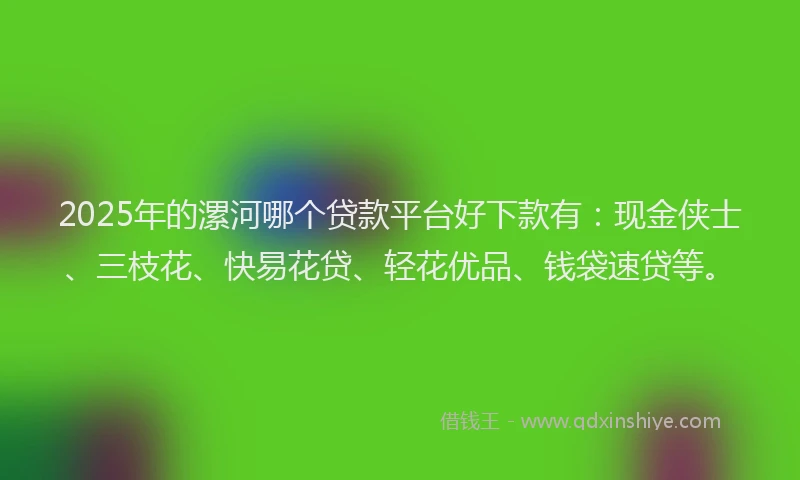2025年的漯河哪个贷款平台好下款有：现金侠士、三枝花、快易花贷、轻花优品、钱袋速贷等。