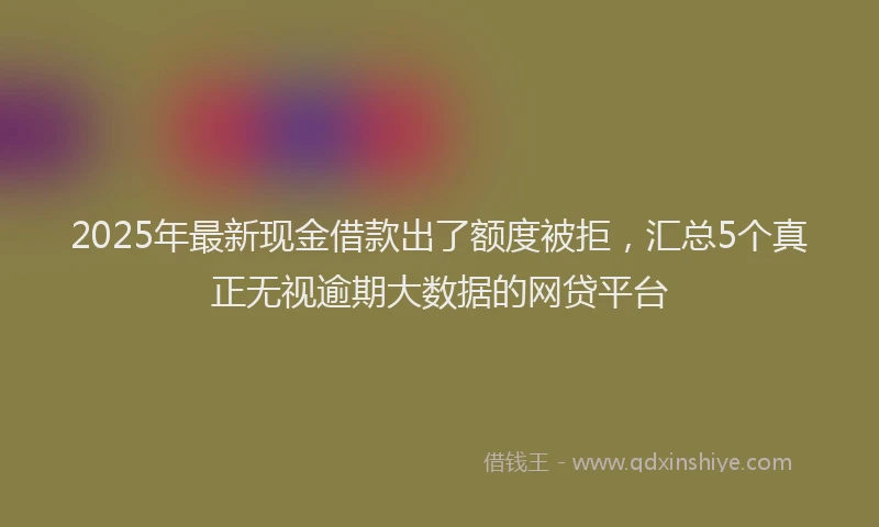 2025年最新现金借款出了额度被拒，汇总5个真正无视逾期大数据的网贷平台