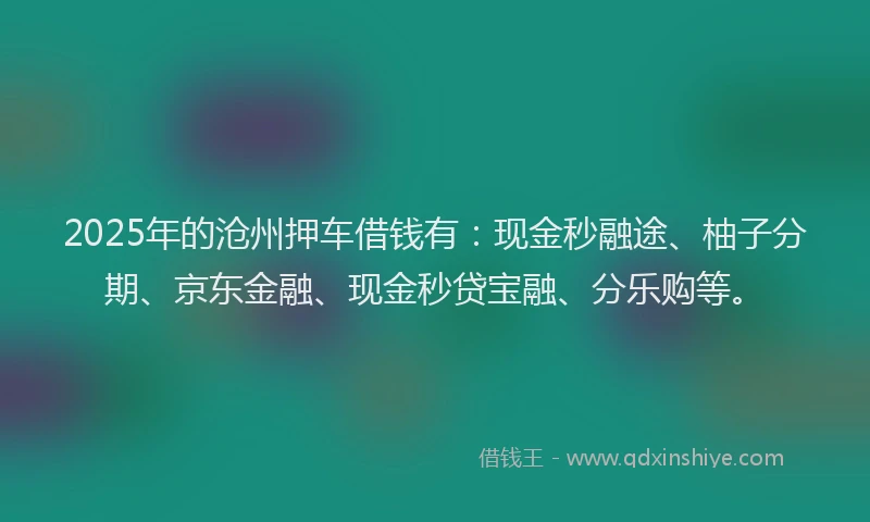 2025年的沧州押车借钱有：现金秒融途、柚子分期、京东金融、现金秒贷宝融、分乐购等。