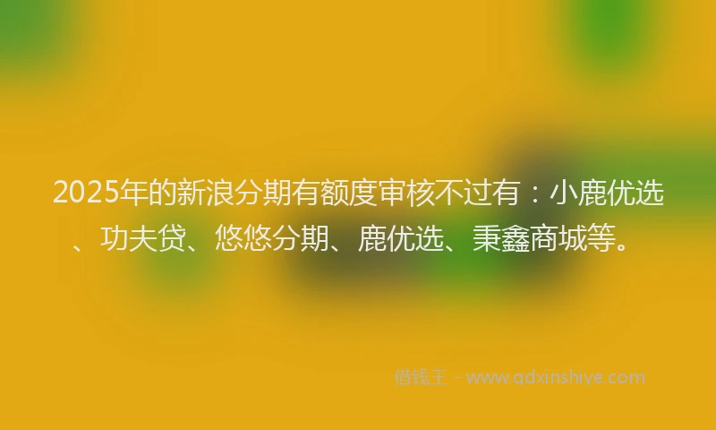 2025年的新浪分期有额度审核不过有：小鹿优选、功夫贷、悠悠分期、鹿优选、秉鑫商城等。